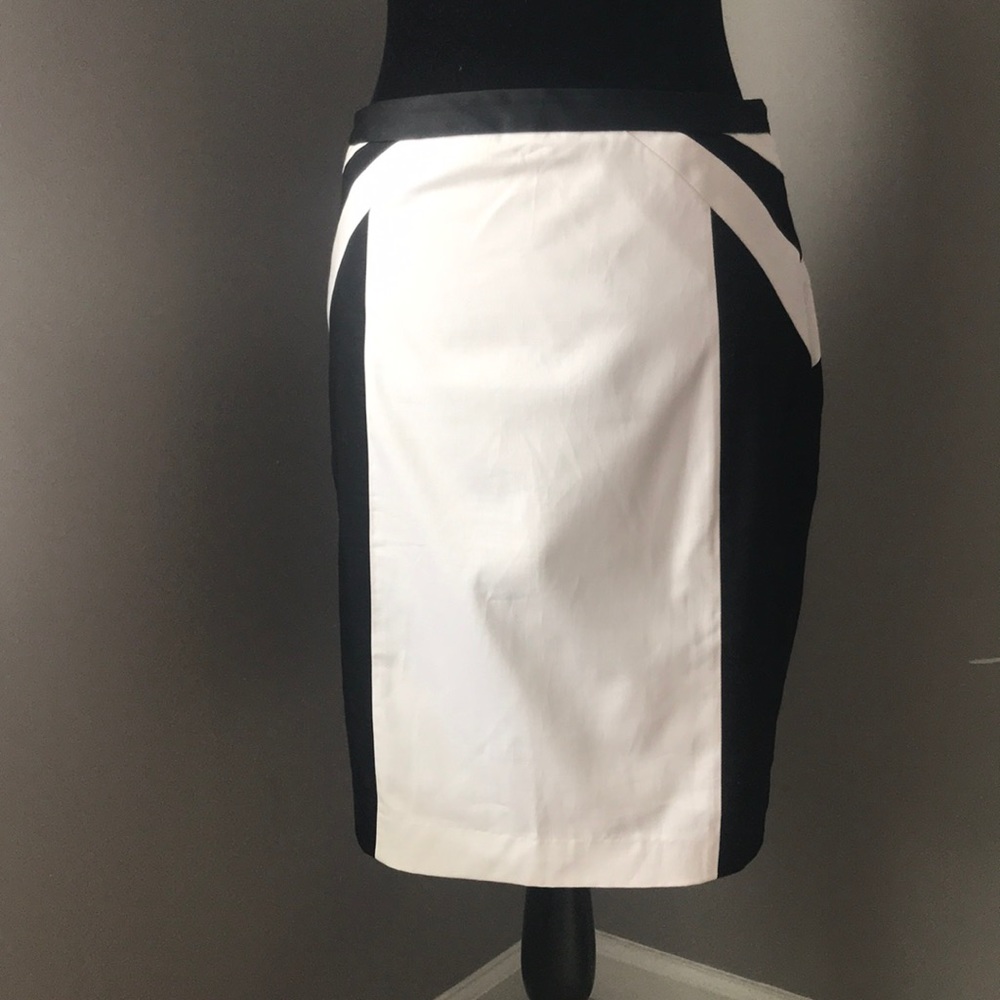 Express Pencil Skirt